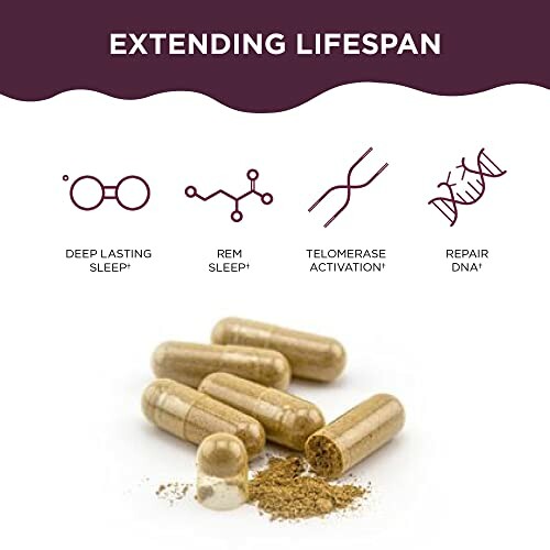 Diagram showing benefits of supplements for extending lifespan including sleep and DNA repair.